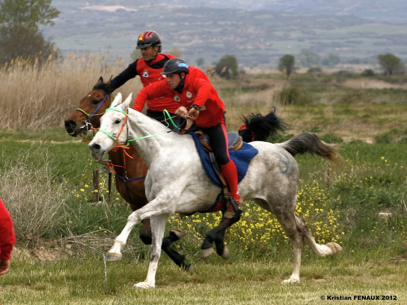 Éxito del Raid Navarro en el CEI** 120 Kms. Copa Interautonomías 2012 Figarol-Bardenas Reales de Navarra. Medallas de Oro y Bronce individual y Plata por equipos.